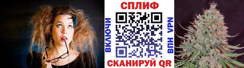 Бошки марихуана OG Kush  Купить где  Чита 